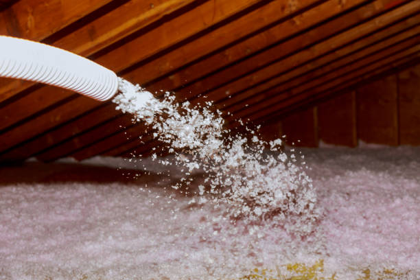 Best Blown-in Insulation  in Rutledge, GA