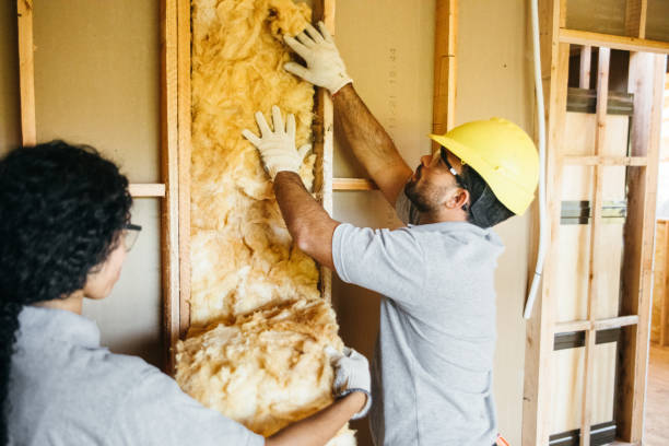 Best Professional Insulation Contractor  in Rutledge, GA
