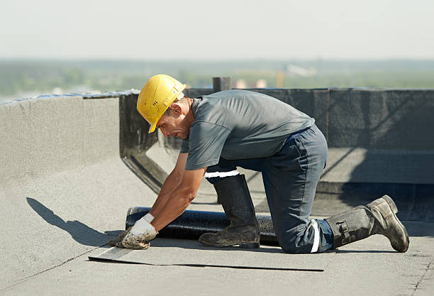 Best Affordable Insulation Services  in Rutledge, GA